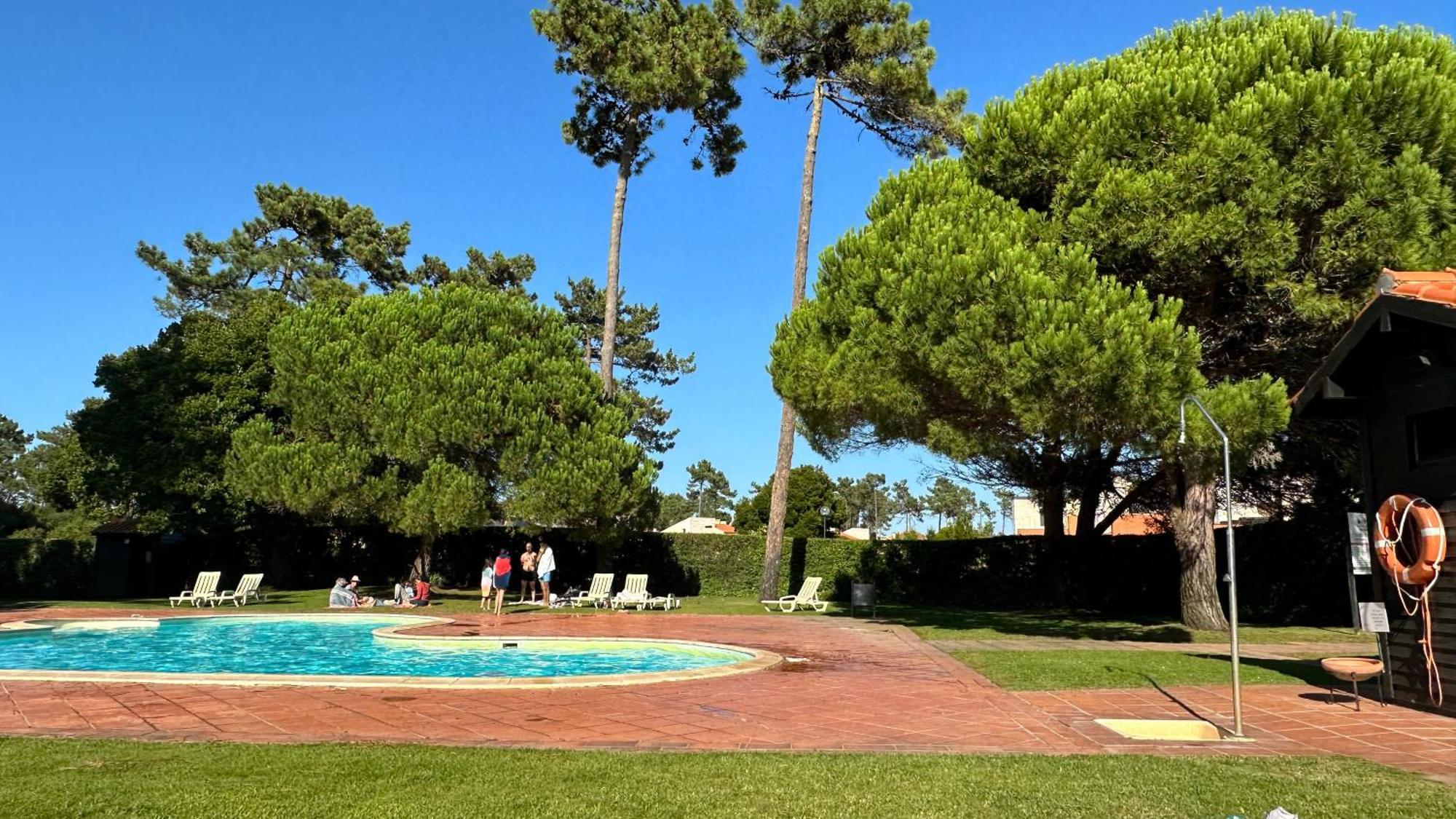 Forest Terrace Praia De Mira Bagian luar foto
