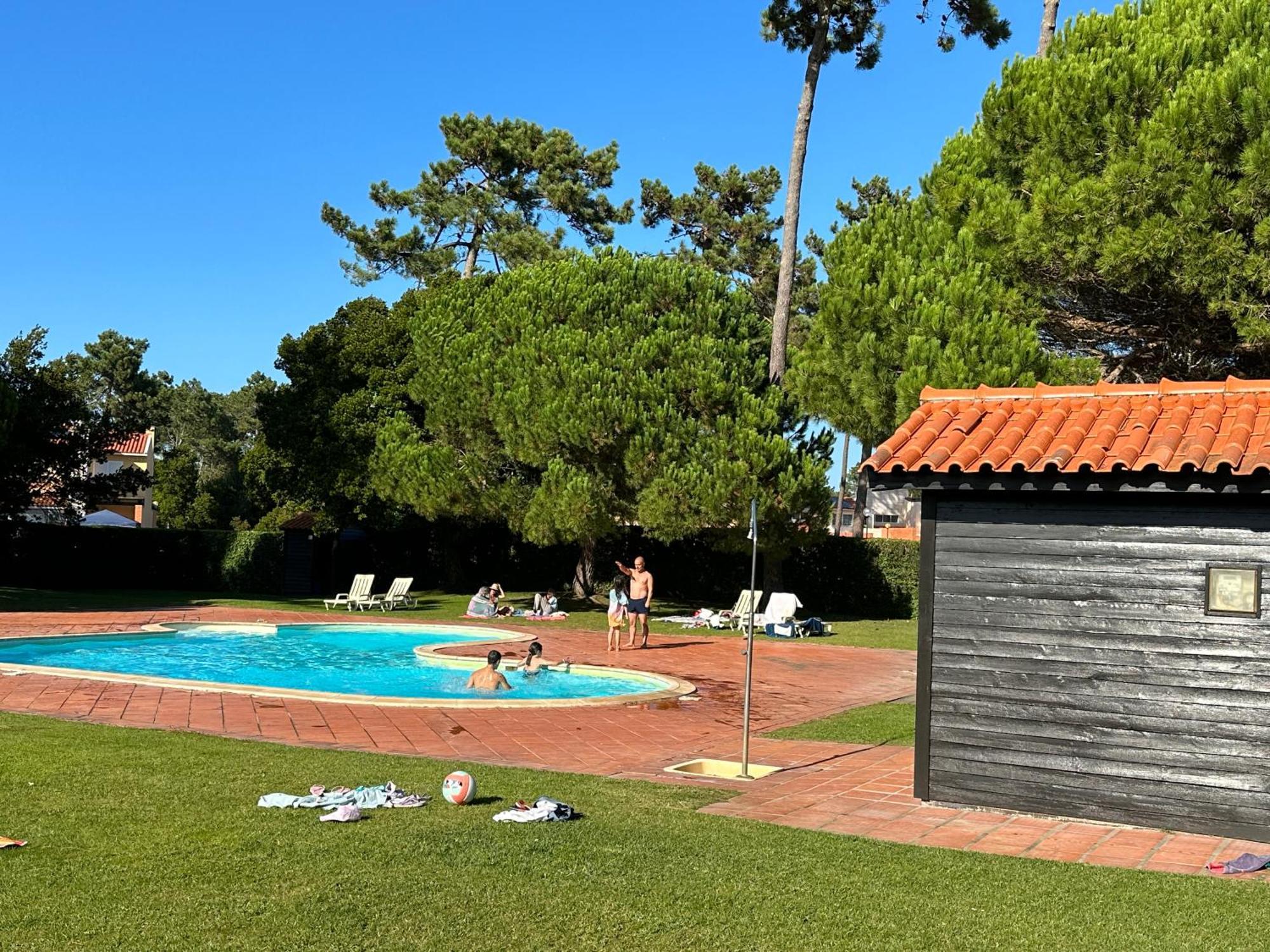 Forest Terrace Praia De Mira Bagian luar foto